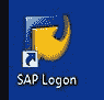 SAP Logon: GUI & Navigation Tutorial