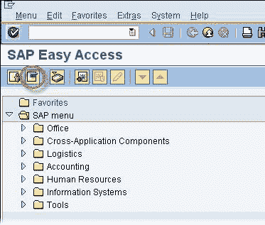 SAP Logon: GUI & Navigation Tutorial