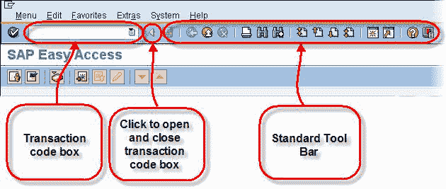 SAP Logon: GUI & Navigation Tutorial